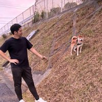 車を怖がるいそべ君2