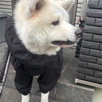 「本当に行くの…？」