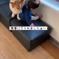 男の子が段差を降りる時のサクくん9