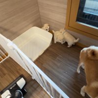 「隅っこに逃げろ～っ」