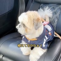 車でお店に向かいます