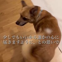 おふとん君の変化8