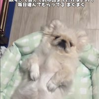 「おやすみなさい…」