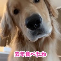 桃を食べるコロッケくん3