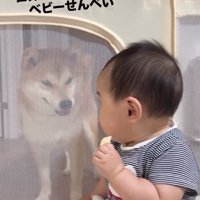 振り向く赤ちゃん