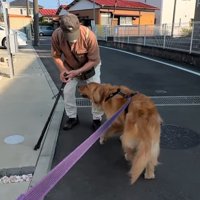 おじいちゃんに挨拶するりく君