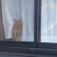 冷静