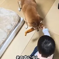 一緒に遊ぶふたり