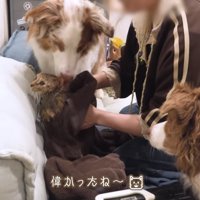 「僕が乾かす！」