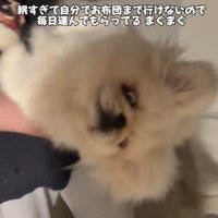 そのまま持ち上げられていった