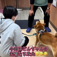 白熱する小競り合い