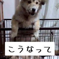 1ヶ月後