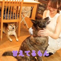 笑顔で見上げる犬と撫でる女性