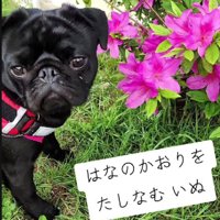 自然が大好き！！