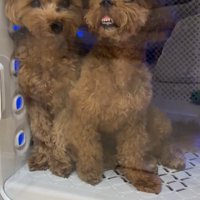 面白すぎるツーショット♪