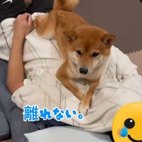寂しそうななぎ君