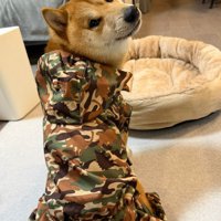 素敵なレインコートを購入♪