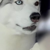 「そん…な…！」