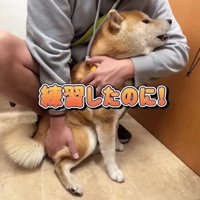 イメージと違った！？
