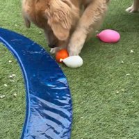 水風船がこわいごん君