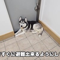 玄関に辿り着いた