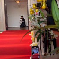 ミロちゃんがリングドッグに挑戦