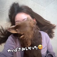 顔の上に乗る犬5