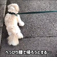 へっぴり腰で逃げています