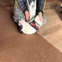 寝転がらせてナデナデ…