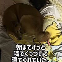 妹が心配だったロック君