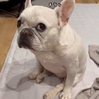 はなちゃんの体勢⑩