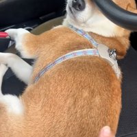 動かないなっとうちゃん