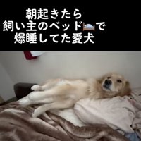 のびぃ〜！