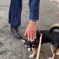 「元気出してね」