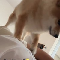 地味に痛いステップ！