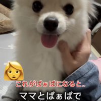 ママのナデナデ