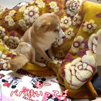 「狭いよ！」と不満そうなお顔