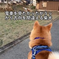 電車を見にきたあお君