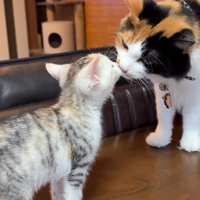 愛情に包まれています