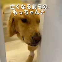 自分で扉を開けた