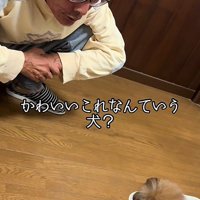 温かな出会いとなった