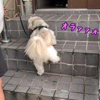 一生懸命階段を登って…