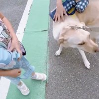 みんなでナデナデ