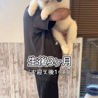 急に大きくなった…！