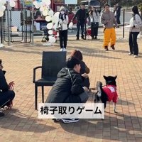 「椅子取りゲーム」は座る気ゼロで失格