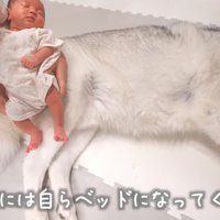 赤ちゃんなら全然平気だよ♡