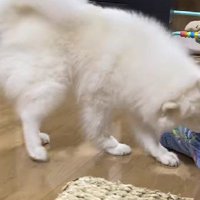「大丈夫？」