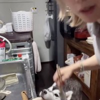 はむっ