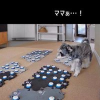 告げ口するモネちゃん4