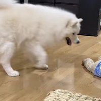 すばやく男の子の元へ